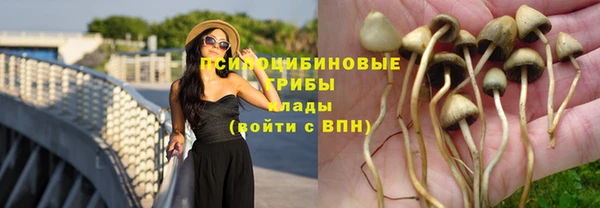 бутик Зеленокумск