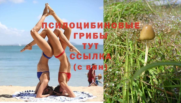первитин Зеленодольск
