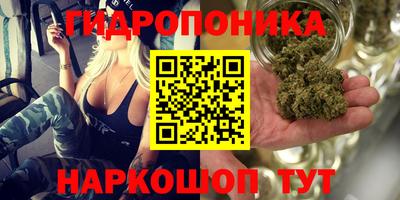 молекула духа Абинск