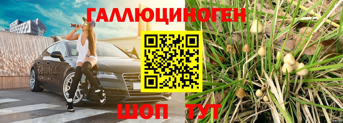Кокаин  Бошки Шишки  A-PVP СОЛЬ кристаллы  Вход с VPN  NBOMe  Меф МЯУ МЯУ   Сердобск  ГАШ 