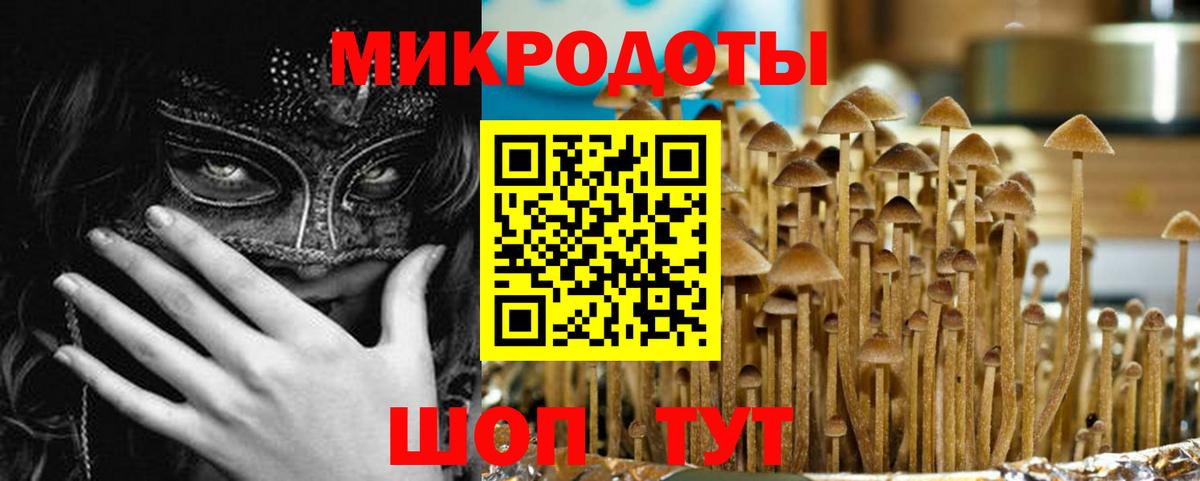 Галлюциногенные грибы прущие грибы Сердобск