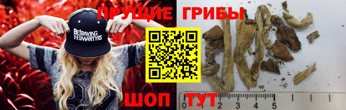 Псилоцибиновые грибы GOLDEN TEACHER  Вход с VPN  Сердобск  закладки  Галлюциногенные грибы ЛСД 